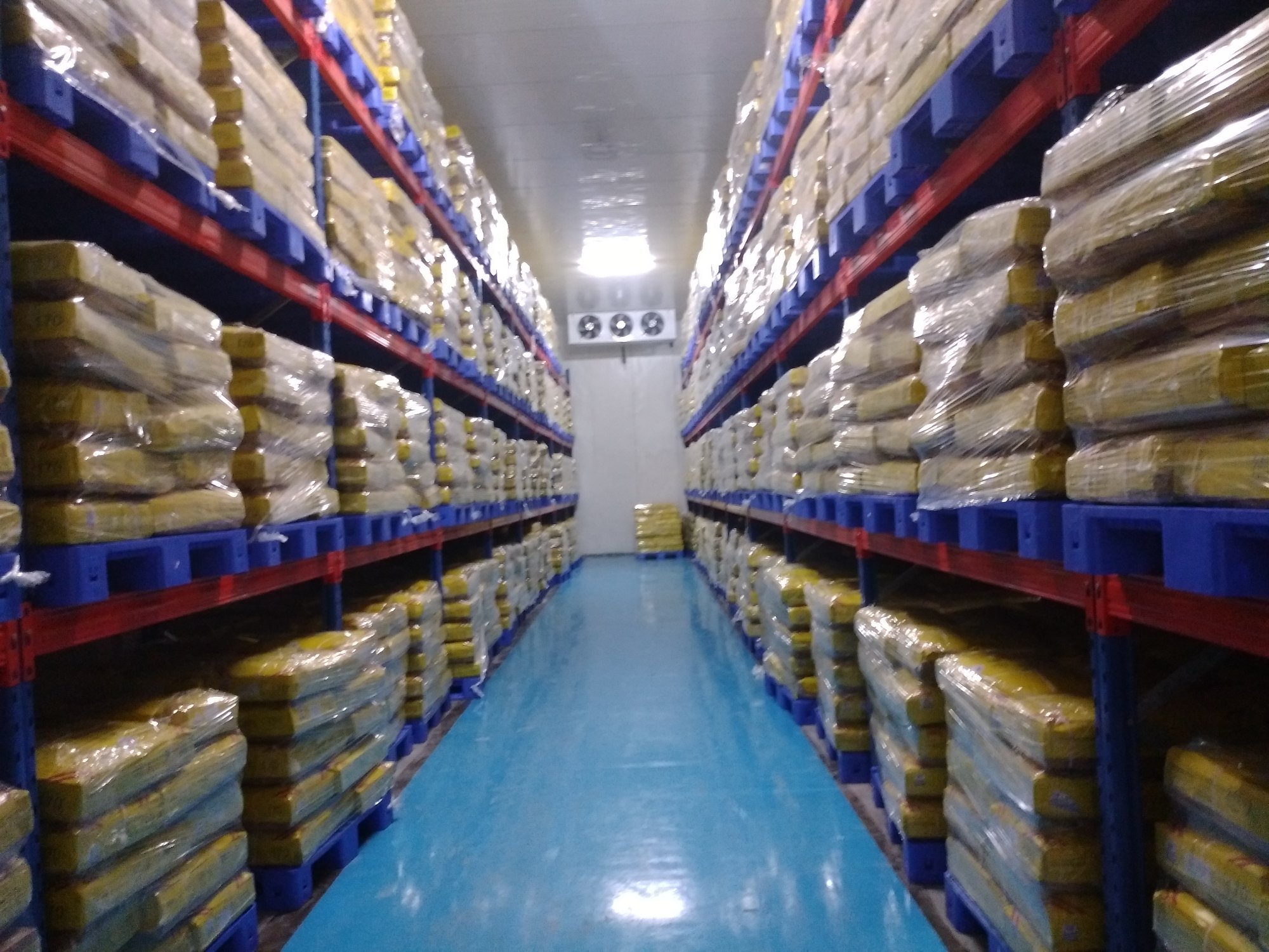 Cold Storage